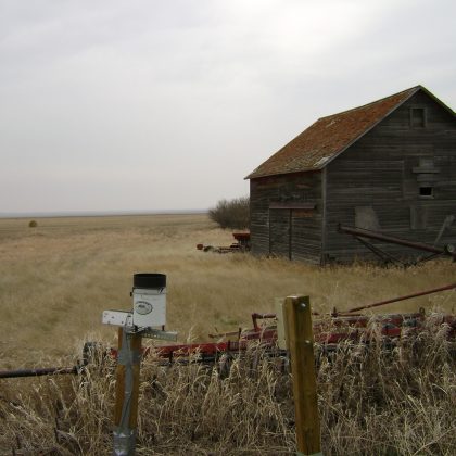 Site6_008 Site6_008